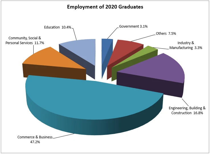 2020年畢業生就業情況的原始立體圓形圖，標籤散落在圖表四周